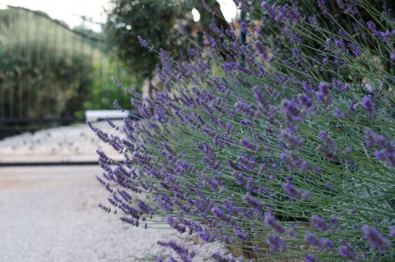 Casale Madeccia Guest House Sonnino Exterior foto